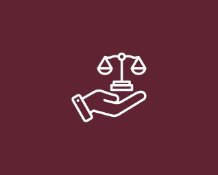 Seguridad y Justicia Social