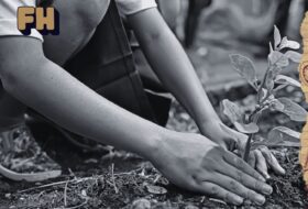 Los Retos del Medio Ambiente en México